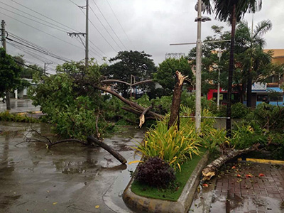 フィリピン セブ台風の様子その1